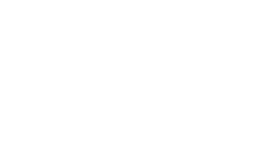 Due Process Institute
